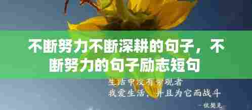 不断努力不断深耕的句子，不断努力的句子励志短句 