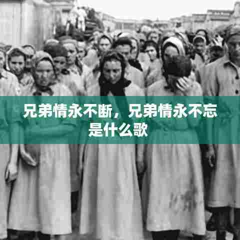 兄弟情永不断，兄弟情永不忘是什么歌 