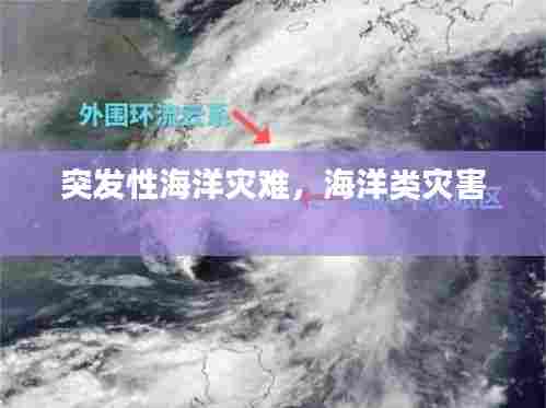 突发性海洋灾难，海洋类灾害 