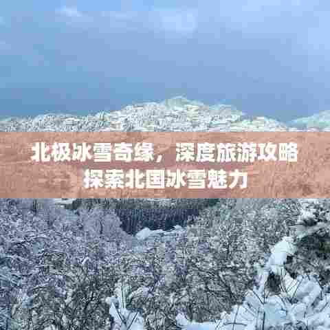 北极冰雪奇缘，深度旅游攻略探索北国冰雪魅力