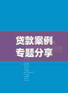 贷款案例专题分享，成功之路、挑战应对解析