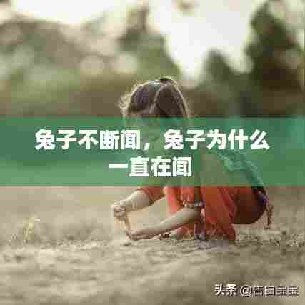 兔子不断闻，兔子为什么一直在闻 