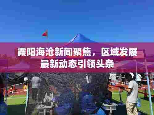 霞阳海沧新闻聚焦，区域发展最新动态引领头条