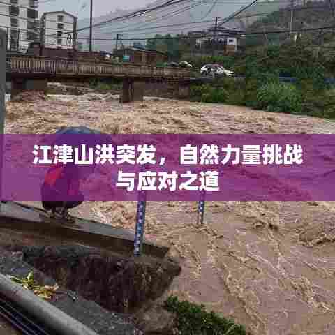 江津山洪突发，自然力量挑战与应对之道