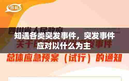 知遇各类突发事件，突发事件应对以什么为主 