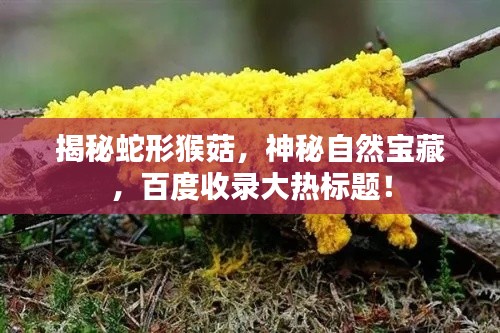 揭秘蛇形猴菇，神秘自然宝藏，百度收录大热标题！