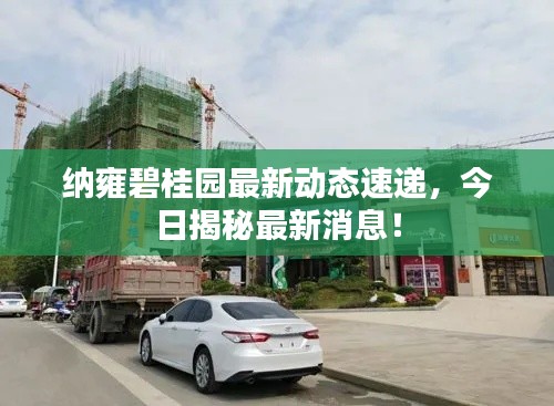 纳雍碧桂园最新动态速递，今日揭秘最新消息！