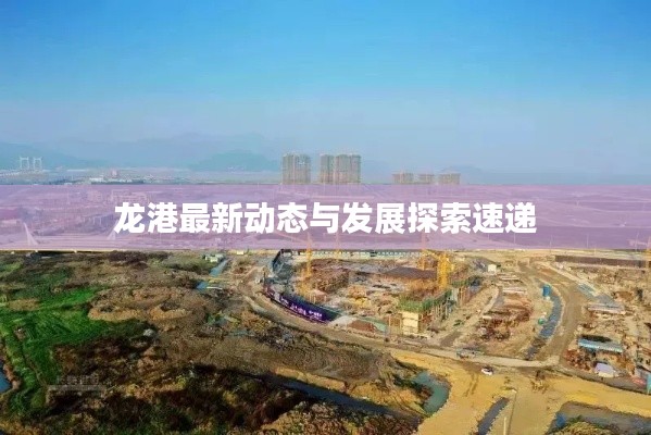 龙港最新动态与发展探索速递