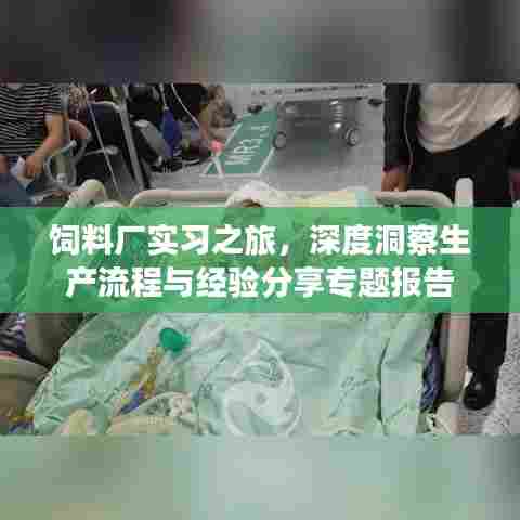 饲料厂实习之旅，深度洞察生产流程与经验分享专题报告