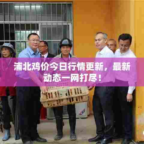 浦北鸡价今日行情更新，最新动态一网打尽！