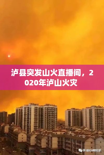 泸县突发山火直播间，2020年泸山火灾 
