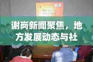 谢岗新闻聚焦，地方发展动态与社会热点大揭秘