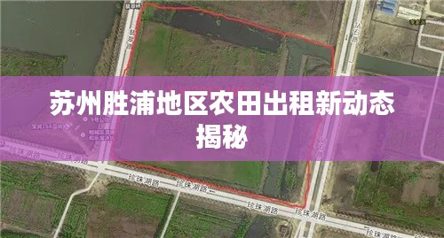 苏州胜浦地区农田出租新动态揭秘