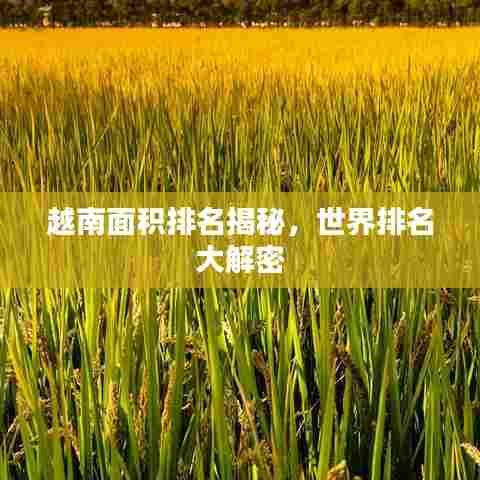 发硎新试 第7页