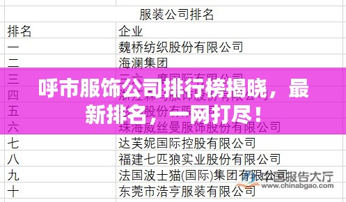 呼市服饰公司排行榜揭晓，最新排名，一网打尽！