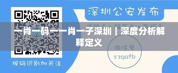 一肖一码一一肖一子深圳｜深度分析解释定义
