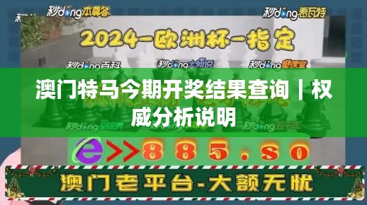 澳门特马今期开奖结果查询｜权威分析说明