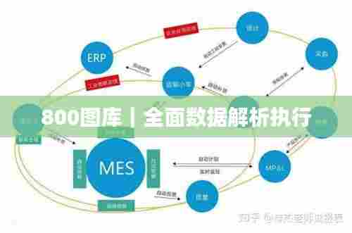 800图库｜全面数据解析执行