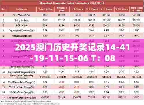2025澳门历史开奖记录14-41-19-11-15-06 T：08