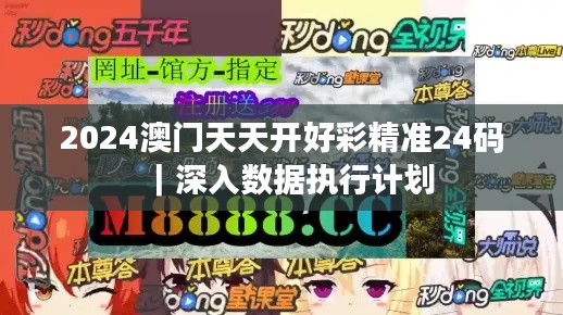 2024澳门天天开好彩精准24码｜深入数据执行计划