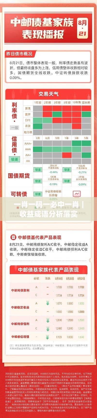 一肖一码一必中一肖｜收益成语分析落实