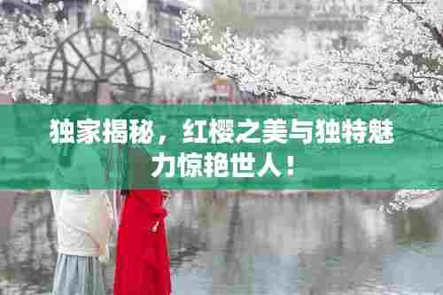 独家揭秘，红樱之美与独特魅力惊艳世人！