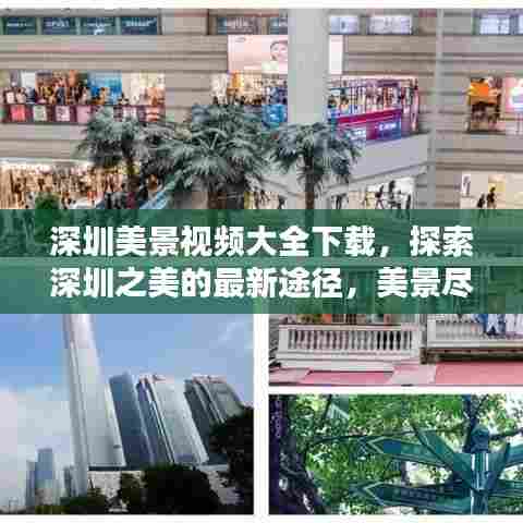 深圳美景视频大全下载，探索深圳之美的最新途径，美景尽收眼底