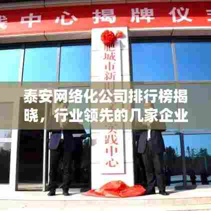 泰安网络化公司排行榜揭晓，行业领先的几家企业盘点！