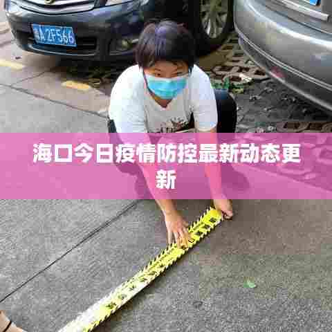 海口今日疫情防控最新动态更新