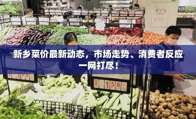新乡菜价最新动态，市场走势、消费者反应一网打尽！