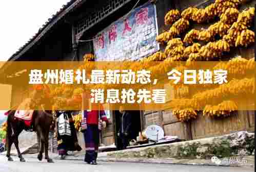 盘州婚礼最新动态，今日独家消息抢先看
