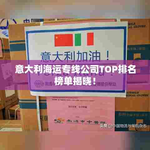 意大利海运专线公司TOP排名榜单揭晓！