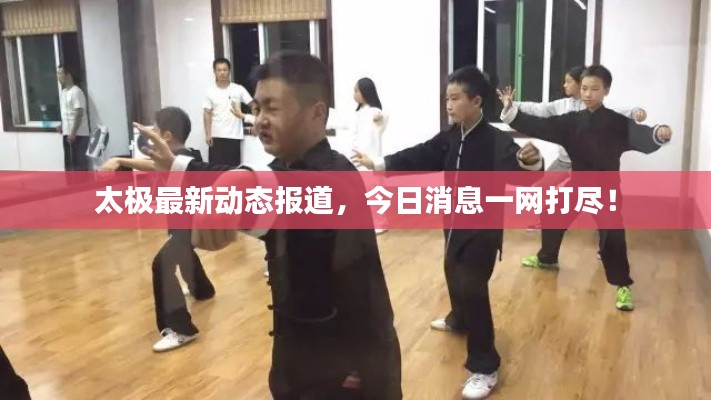 太极最新动态报道，今日消息一网打尽！