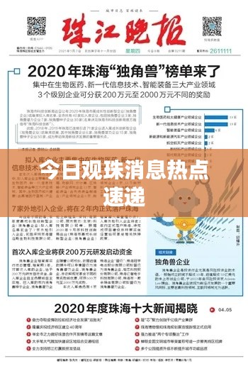 今日观珠消息热点速递