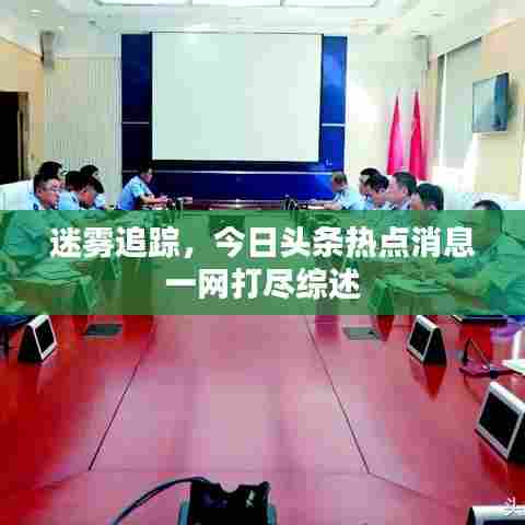 迷雾追踪，今日头条热点消息一网打尽综述