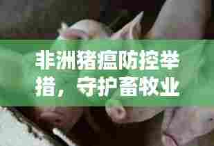 非洲猪瘟防控举措，守护畜牧业安全的关键行动