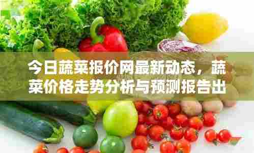 今日蔬菜报价网最新动态，蔬菜价格走势分析与预测报告出炉
