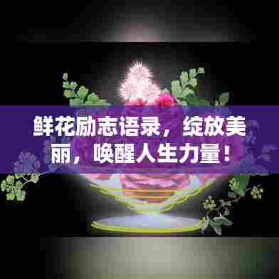 鲜花励志语录，绽放美丽，唤醒人生力量！