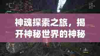 神魂探索之旅，揭开神秘世界的神秘面纱