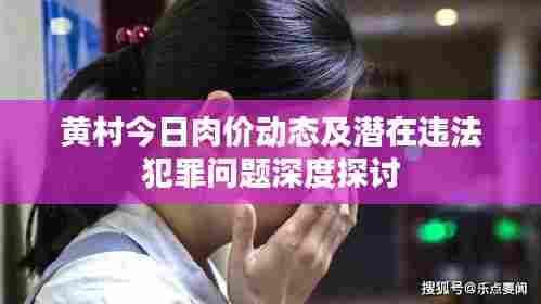 黄村今日肉价动态及潜在违法犯罪问题深度探讨