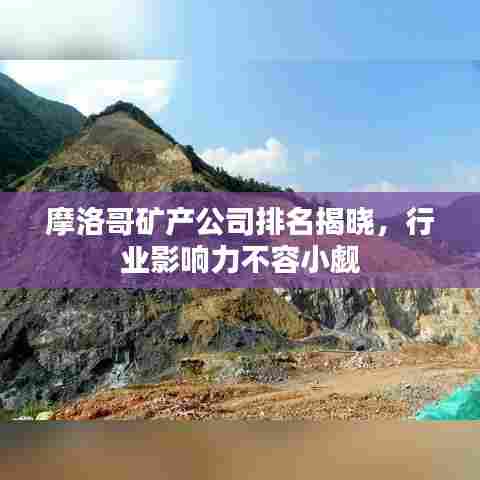 摩洛哥矿产公司排名揭晓，行业影响力不容小觑