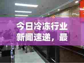 今日冷冻行业新闻速递，最新动态一网打尽