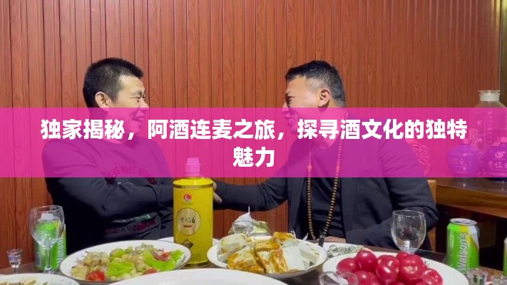 独家揭秘，阿酒连麦之旅，探寻酒文化的独特魅力