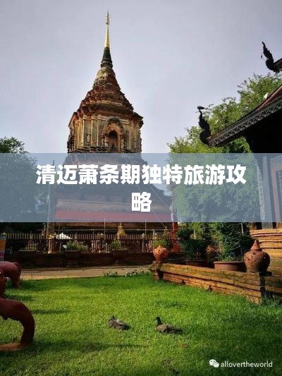 联系我们 第218页