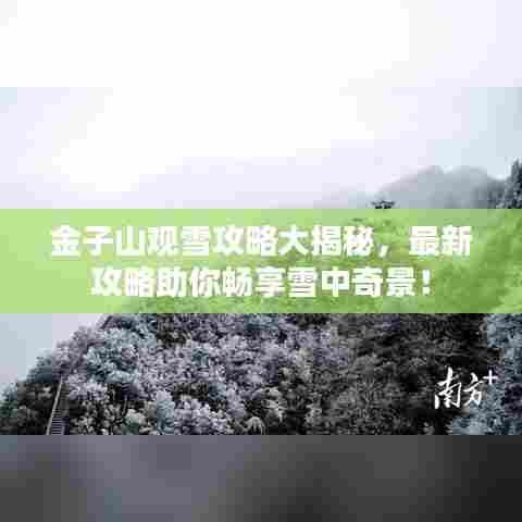 金子山观雪攻略大揭秘，最新攻略助你畅享雪中奇景！
