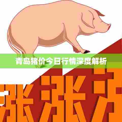 青岛猪价今日行情深度解析