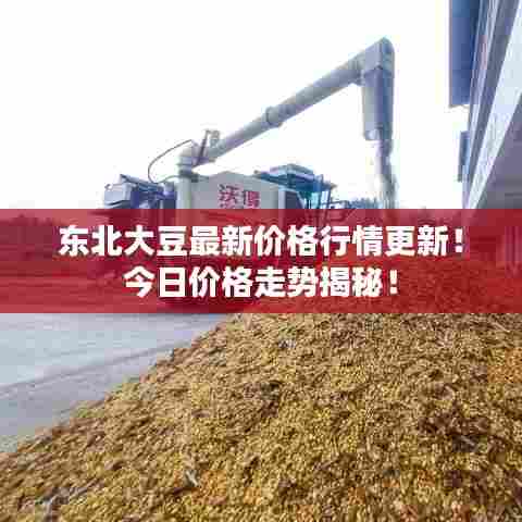 后会难期 第6页