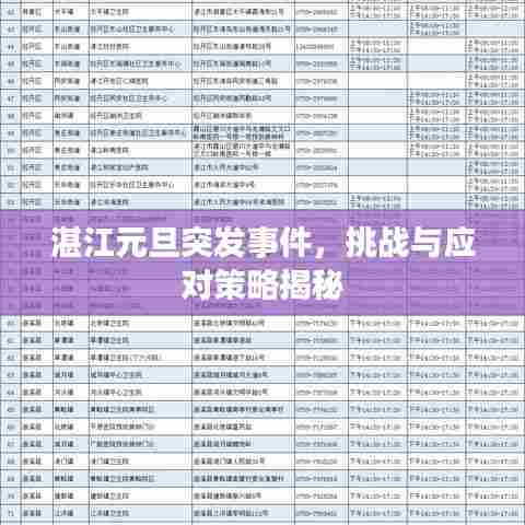 湛江元旦突发事件，挑战与应对策略揭秘