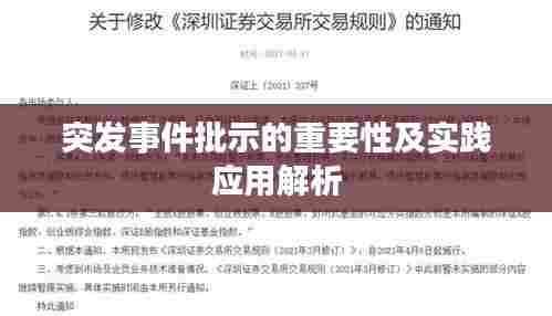 突发事件批示的重要性及实践应用解析
