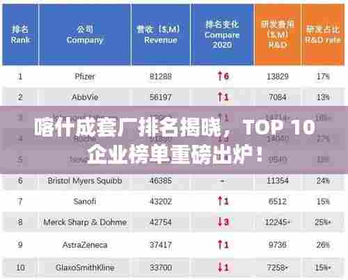 喀什成套厂排名揭晓，TOP 10企业榜单重磅出炉！